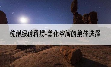 杭州绿植租摆-美化空间的绝佳选择