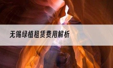 无锡绿植租赁费用解析