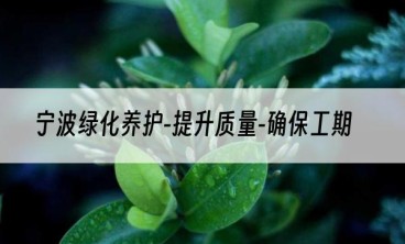 宁波绿化养护-提升质量-确保工期