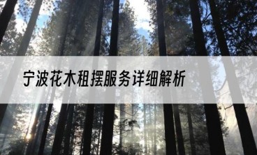 宁波花木租摆服务详细解析