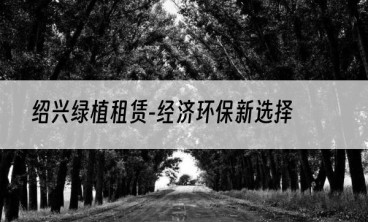 绍兴绿植租赁-经济环保新选择