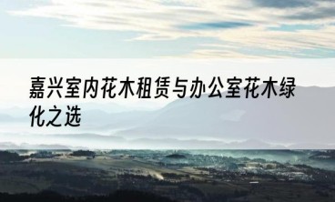 嘉兴室内花木租赁与办公室花木绿化之选