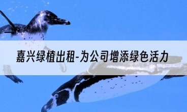 嘉兴绿植出租-为公司增添绿色活力