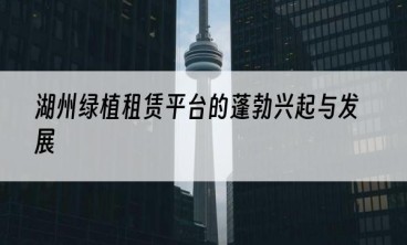 湖州绿植租赁平台的蓬勃兴起与发展