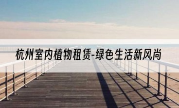 杭州室内植物租赁-绿色生活新风尚