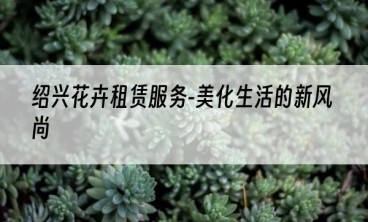 绍兴花卉租赁服务-美化生活的新风尚