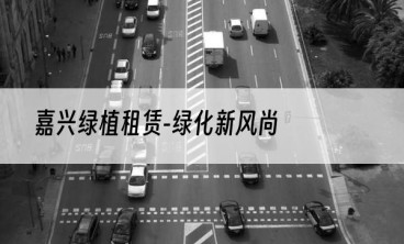 嘉兴绿植租赁-绿化新风尚
