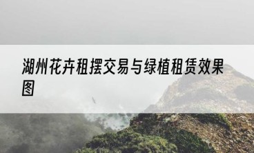 湖州花卉租摆交易与绿植租赁效果图