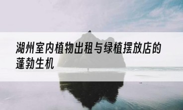 湖州室内植物出租与绿植摆放店的蓬勃生机