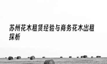 苏州花木租赁经验与商务花木出租探析