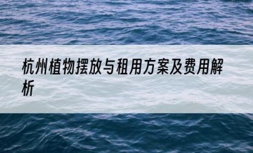 杭州植物摆放与租用方案及费用解析