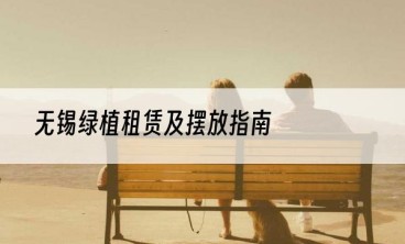 无锡绿植租赁及摆放指南