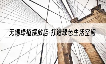 无锡绿植摆放店-打造绿色生活空间
