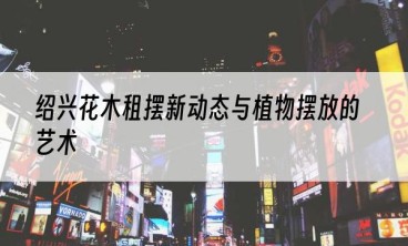 绍兴花木租摆新动态与植物摆放的艺术