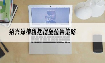 绍兴绿植租摆摆放位置策略