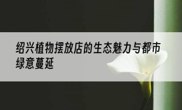 绍兴植物摆放店的生态魅力与都市绿意蔓延