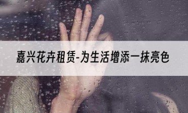 嘉兴花卉租赁-为生活增添一抹亮色