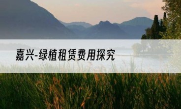 嘉兴-绿植租赁费用探究