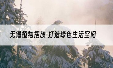 无锡植物摆放-打造绿色生活空间