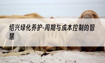 绍兴绿化养护-周期与成本控制的智慧