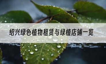 绍兴绿色植物租赁与绿植店铺一览
