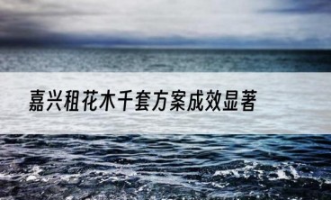 嘉兴租花木千套方案成效显著