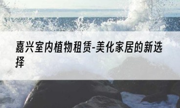 嘉兴室内植物租赁-美化家居的新选择