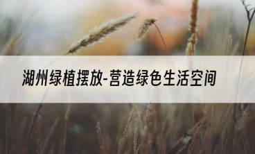 湖州绿植摆放-营造绿色生活空间