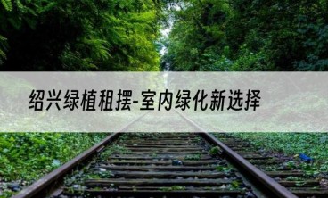 绍兴绿植租摆-室内绿化新选择