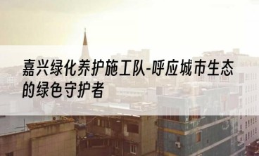 嘉兴绿化养护施工队-呼应城市生态的绿色守护者