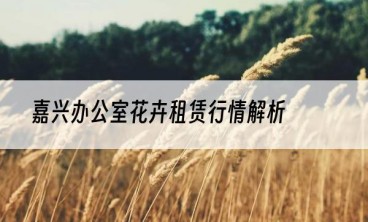 嘉兴办公室花卉租赁行情解析