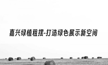 嘉兴绿植租摆-打造绿色展示新空间