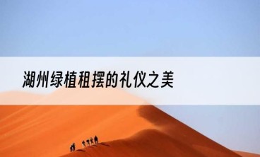 湖州绿植租摆的礼仪之美