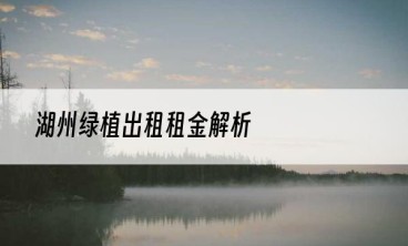 湖州绿植出租租金解析