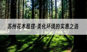 苏州花木租摆-美化环境的实惠之选