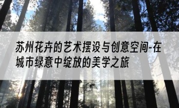 苏州花卉的艺术摆设与创意空间-在城市绿意中绽放的美学之旅