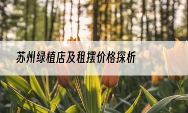 苏州绿植店及租摆价格探析