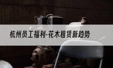 杭州员工福利-花木租赁新趋势