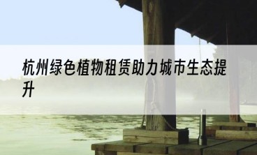 杭州绿色植物租赁助力城市生态提升