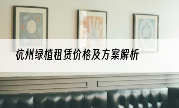 杭州绿植租赁价格及方案解析