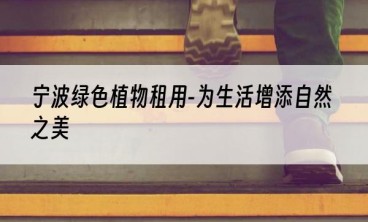 宁波绿色植物租用-为生活增添自然之美