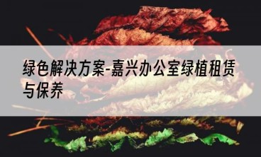 绿色解决方案-嘉兴办公室绿植租赁与保养