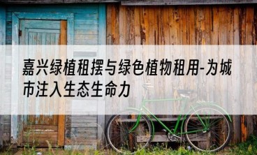 嘉兴绿植租摆与绿色植物租用-为城市注入生态生命力