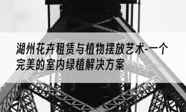 湖州花卉租赁与植物摆放艺术-一个完美的室内绿植解决方案