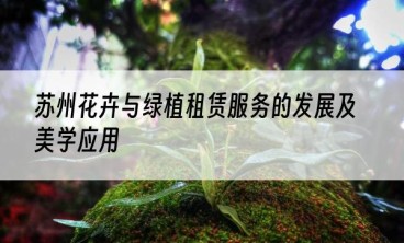 苏州花卉与绿植租赁服务的发展及美学应用