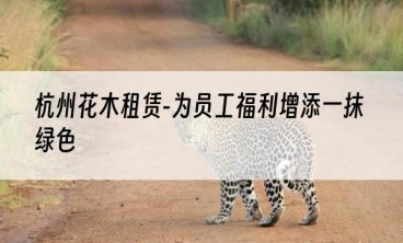 杭州花木租赁-为员工福利增添一抹绿色