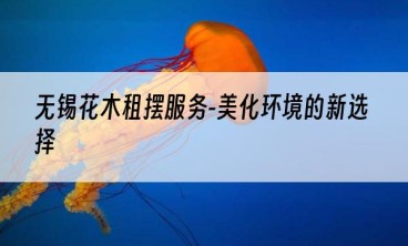 无锡花木租摆服务-美化环境的新选择