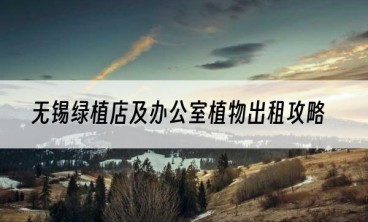 无锡绿植店及办公室植物出租攻略