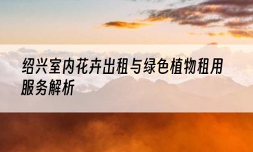 绍兴室内花卉出租与绿色植物租用服务解析