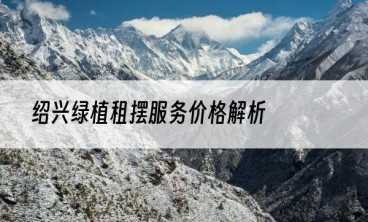 绍兴绿植租摆服务价格解析